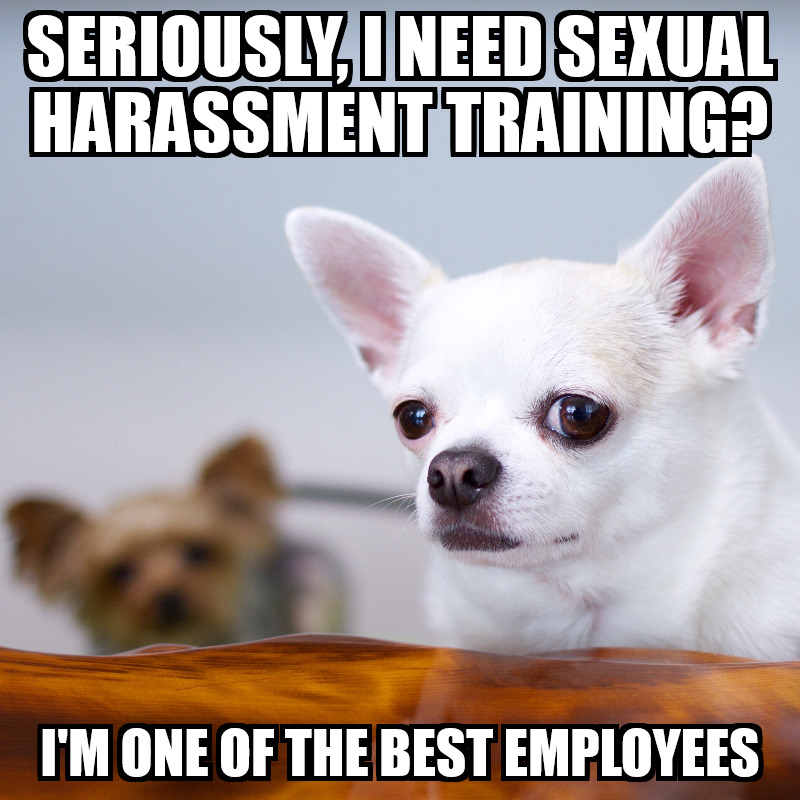 Meme Monday - Seriously, I Need Sexual Harassment Training?