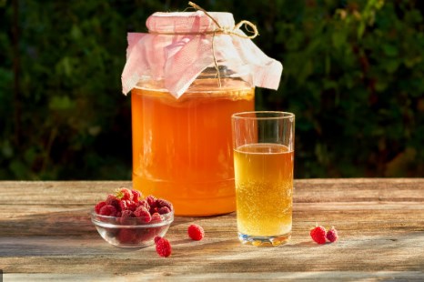 Meatless Mondays - Kombucha