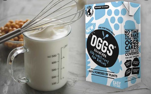 Meatless Mondays- Vegan Egg Substitutes