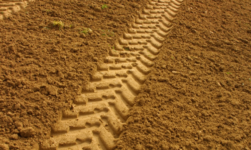 VALLEY FEVER LURKS BENEATH THE SOIL SURFACE JUST WAITING TO BE DISTURBED