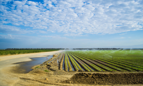 EVERYTHING EMPLOYEES NEED TO KNOW ABOUT VALLEY FEVER